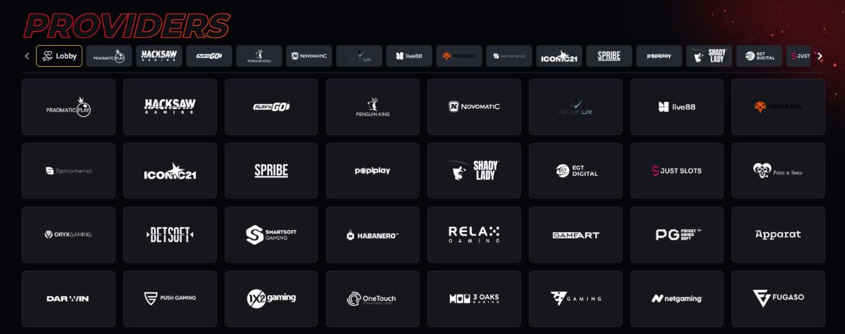 Software Providers & Ontwikkelaars